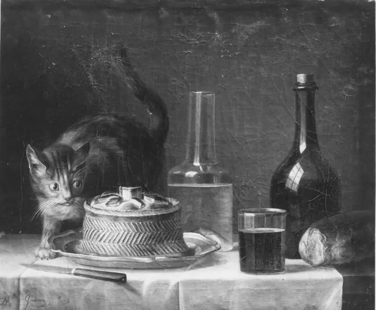 Still life with Cat