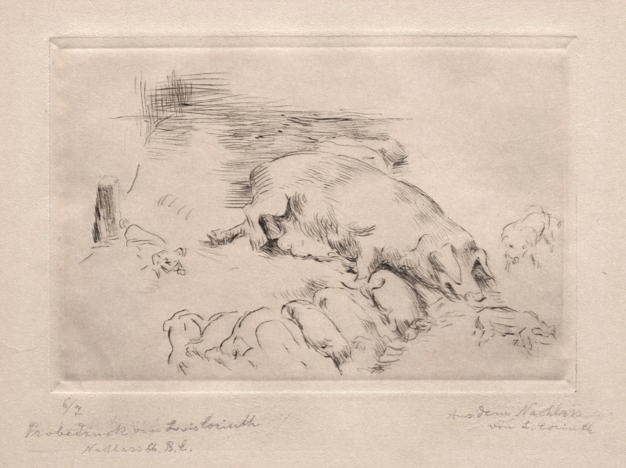 Sows and Piglets, by Lovis Corinth, 1901