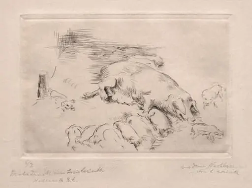 Sows and Piglets
