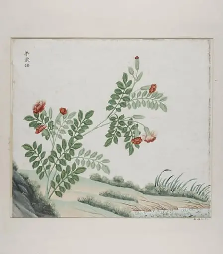 Dan tang di