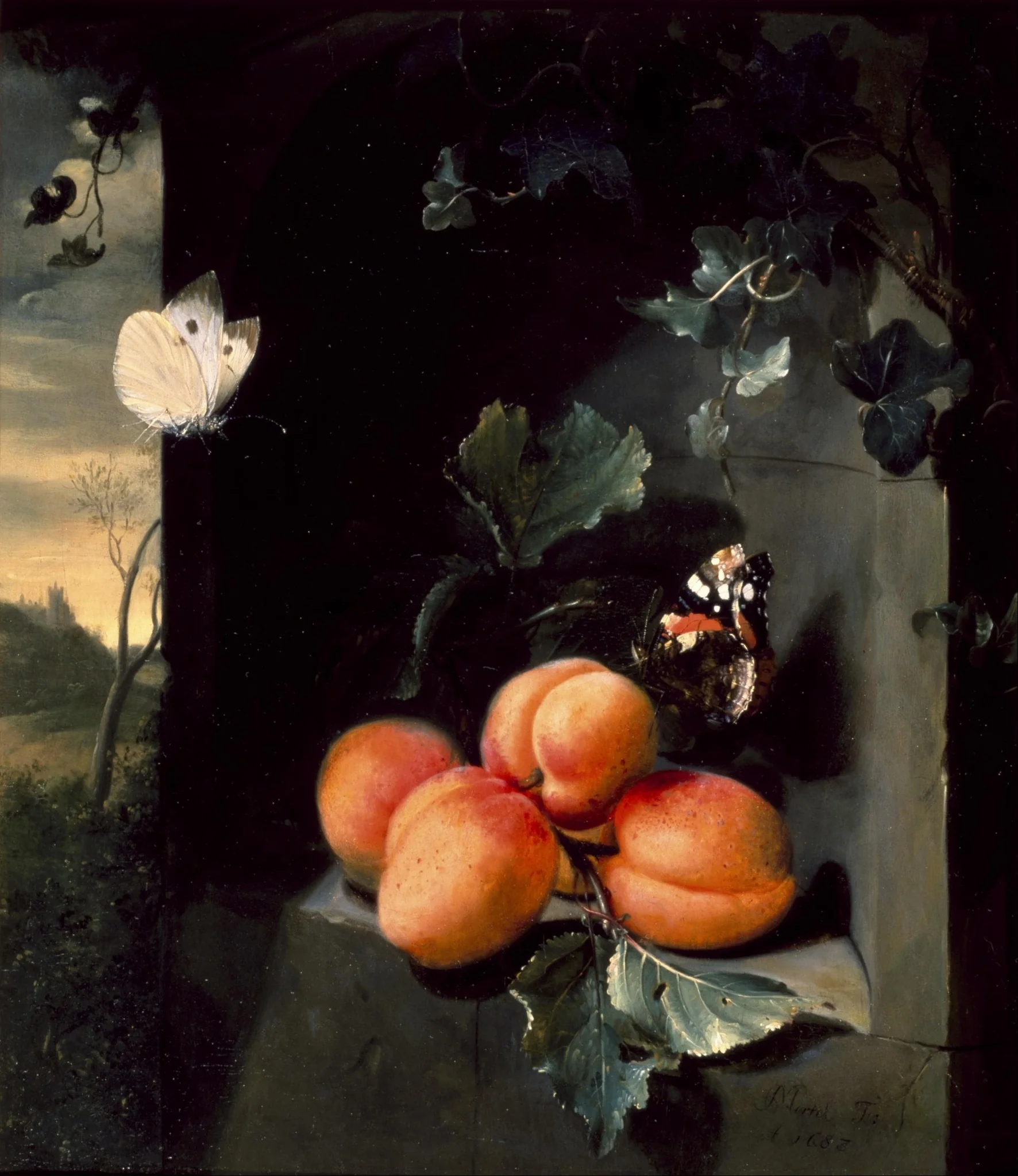 Still Life with Apricots and Butterflies, by Jan Mortel, oil, 1692