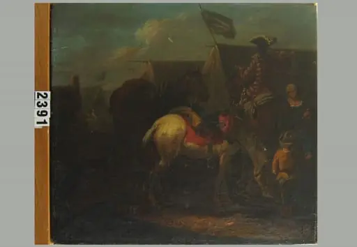 Corturi
