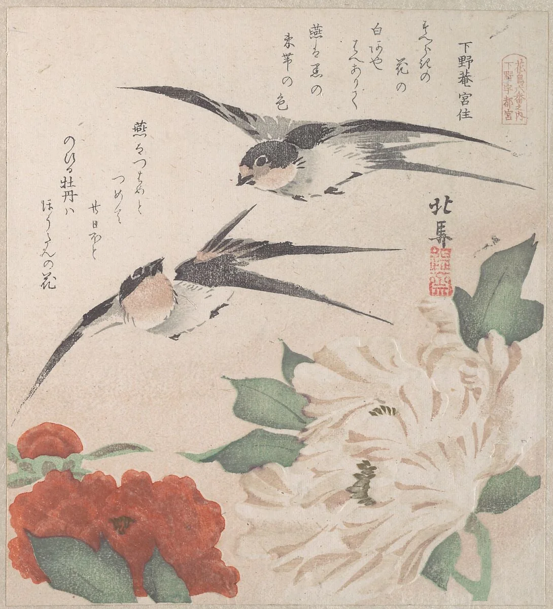 摺物帖　『春雨集』　『花鳥六番之内　下野宇都宮』　牡丹に燕|Spring Rain Collection (Harusame shū), vol. 3: Swallows and Peonies, by Teisai Hokuba, ink, 1820