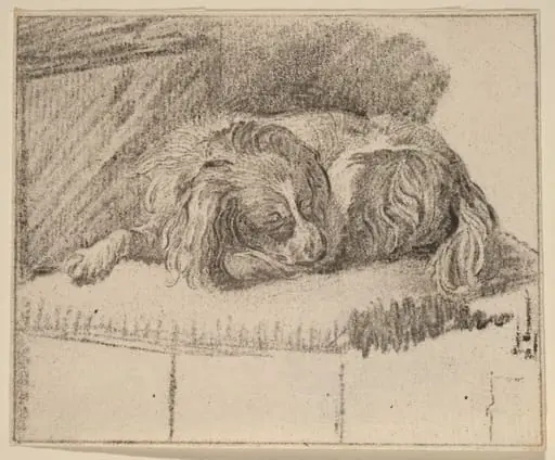 Lying Dog