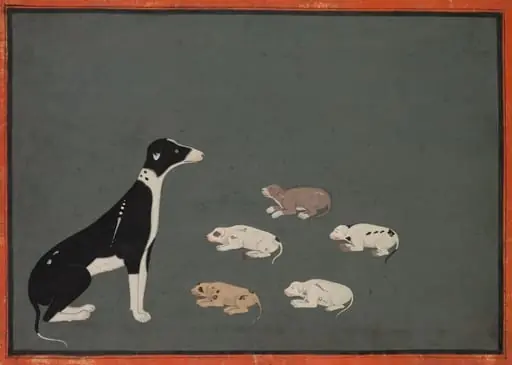 Dog with pups