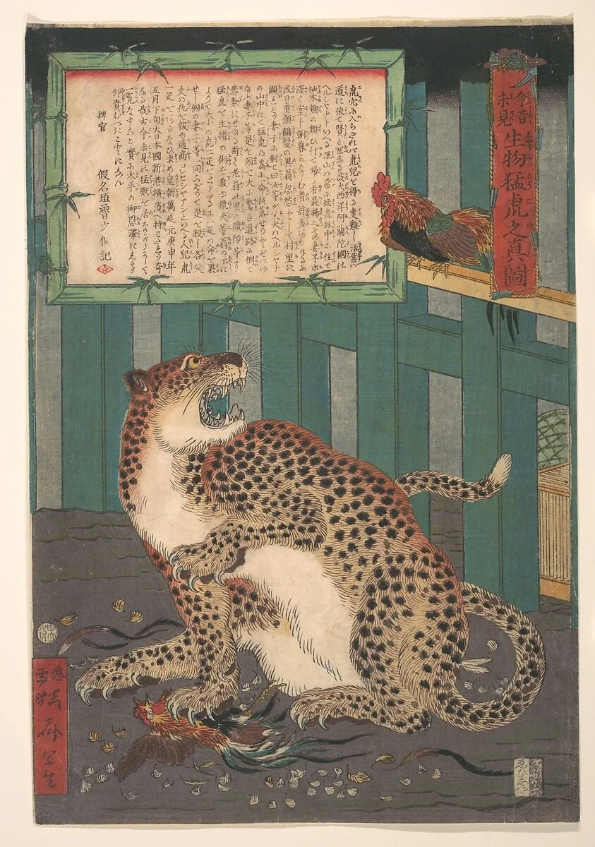 「今昔未見　生物猛虎之真図」|Never Seen Before: True Picture of a Live Wild Tiger (Konjaku miken, Ikimono mōko no shinzu), by Kawanabe Kyōsai 河鍋暁斎, ink, 1860