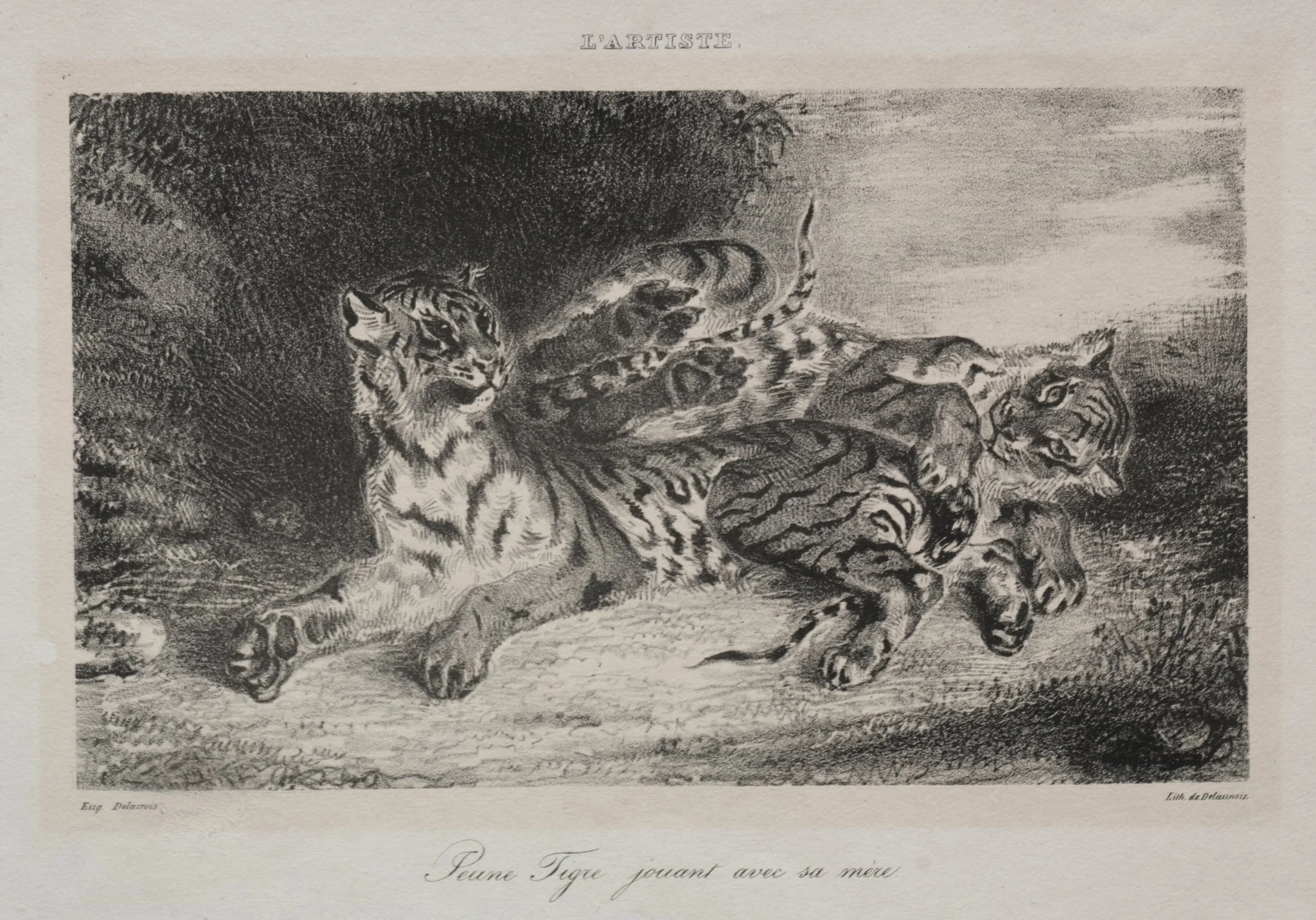 Young Tiger Playing with its Mother, by Eugène Delacroix, 1831