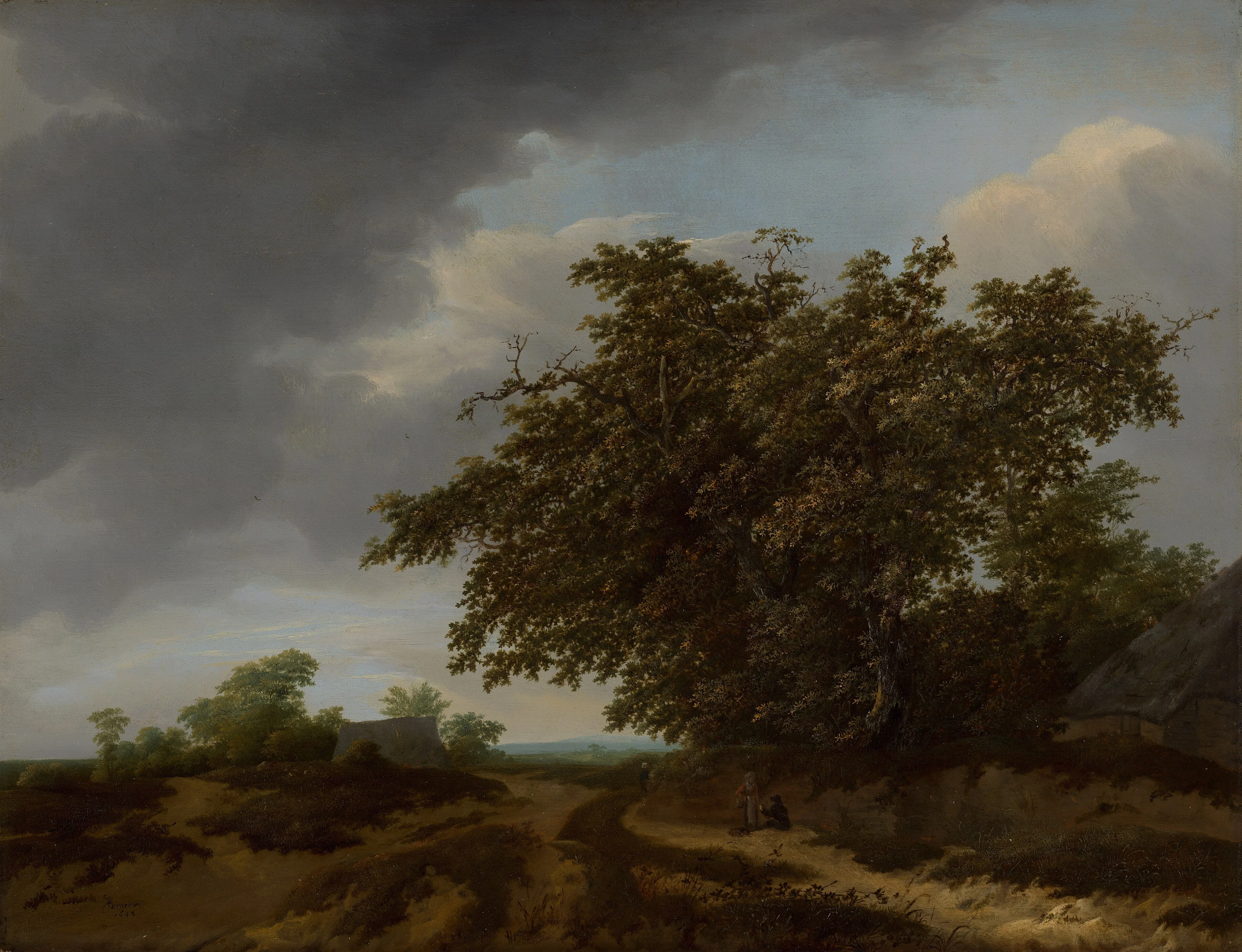 Landscape on the Edge of the Dunes