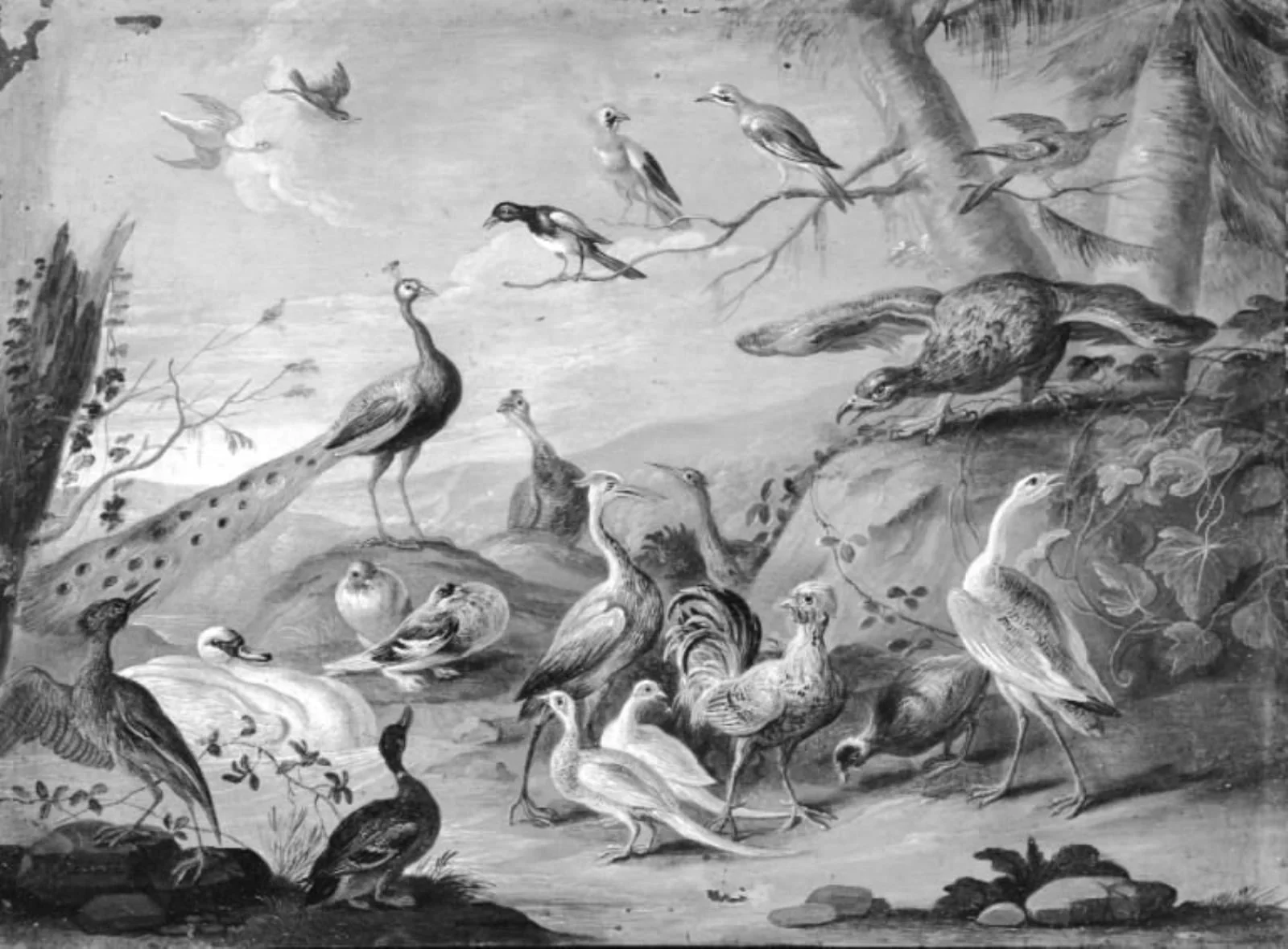 A Hilly Landscape with a Peacock, an Eagle and other Birds, by Unknown, unspecified, 1664