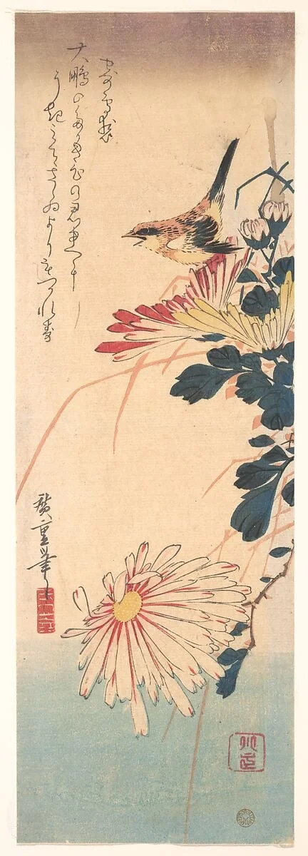 歌川広重画　菊に鷦鷯 |A Wren and Chrysanthemums, by Utagawa Hiroshige, ink, 1830