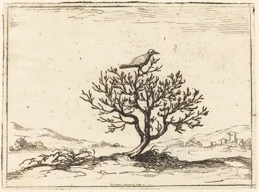 Nightingale in a Bush