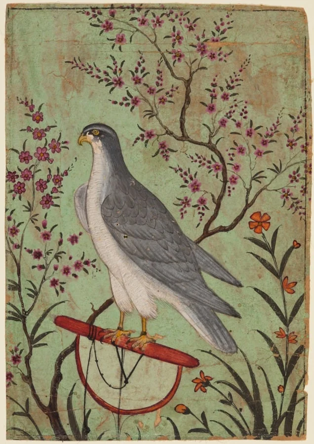 Falcon on a Perch, by Unknown, unspecified, 1610