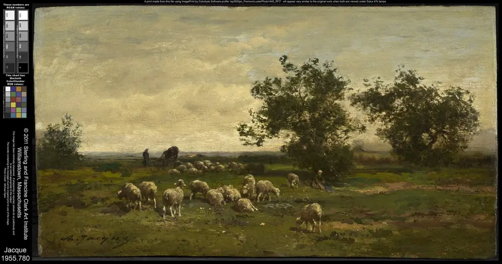 Landscape with Sheep