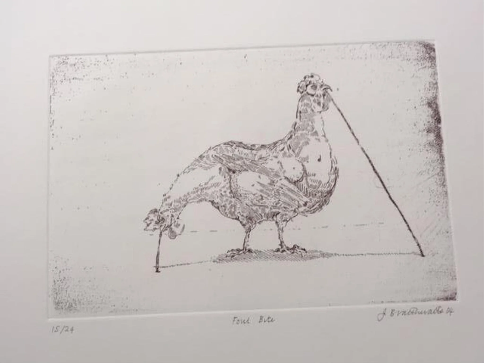 Foul Bite, by Joanna Braithwaite, 2004