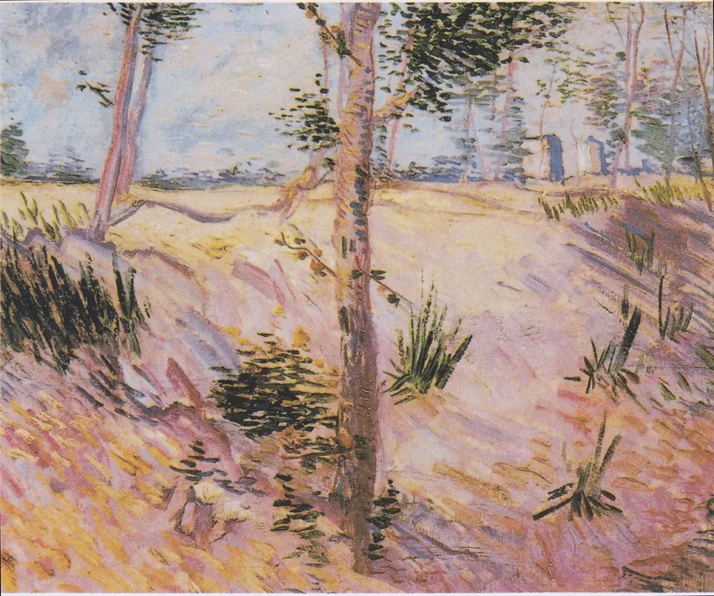 Trees on a slope