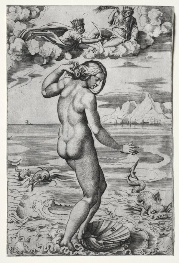 The Birth of Venus, by Marco Dente, 1516