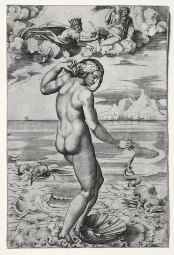 The Birth of Venus