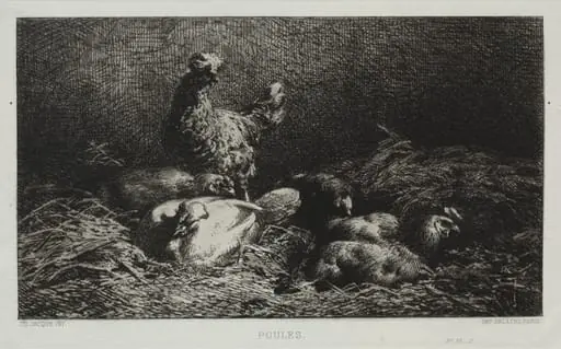 Chickens