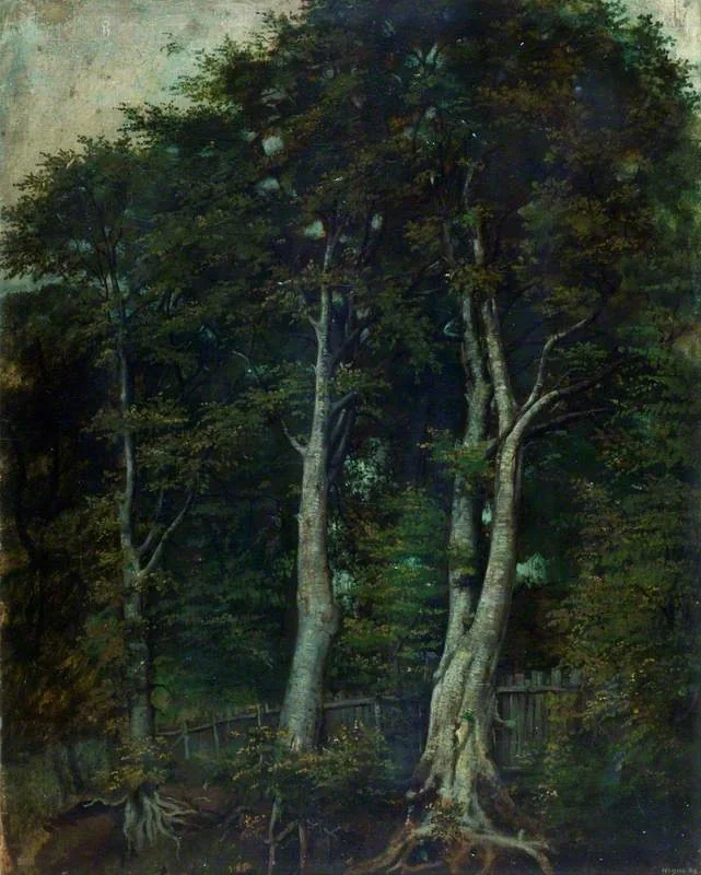 Beech Trees, by Alfred Clint, oil, 1893