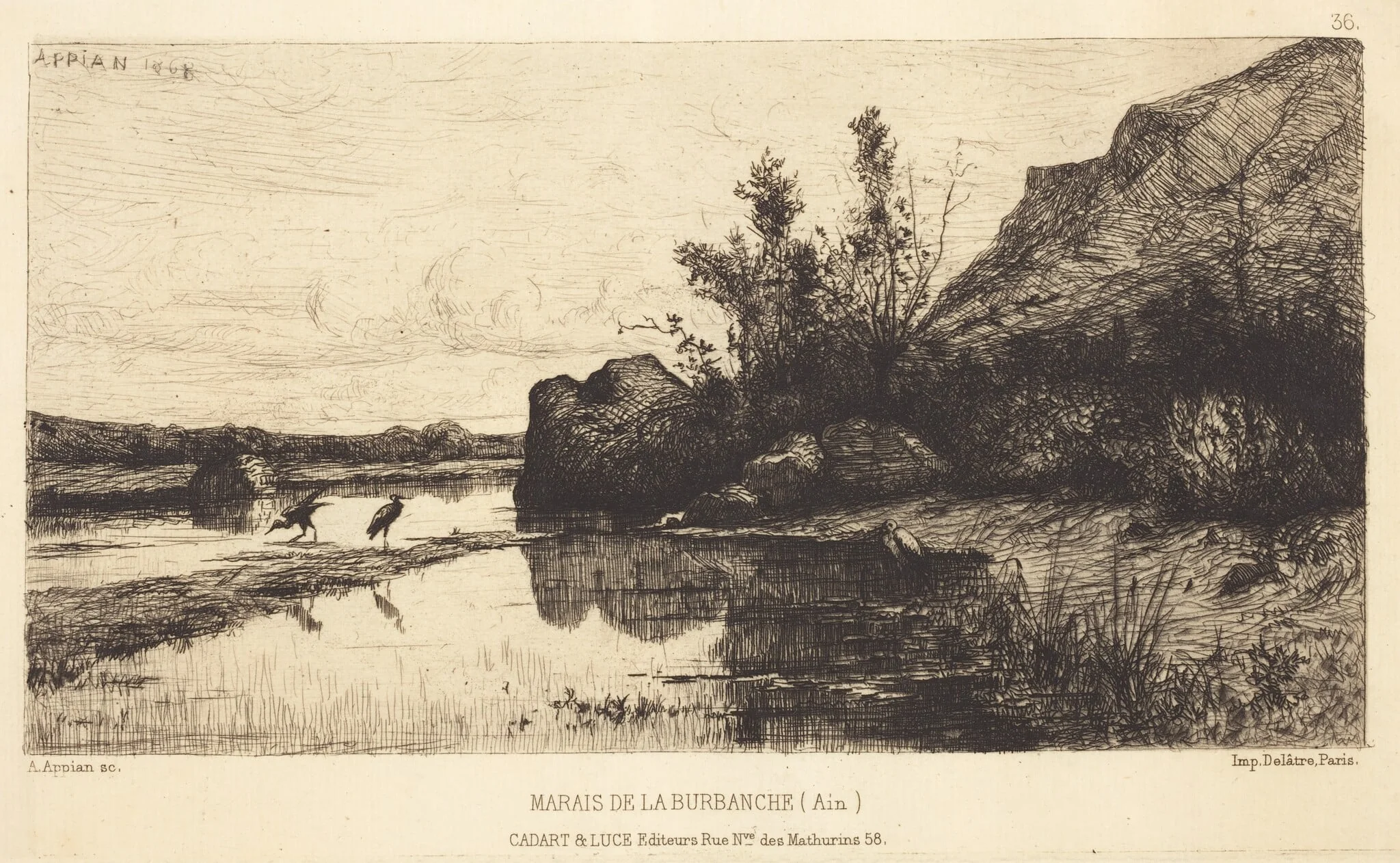 Marais de la Burbanche, by Adolphe Appian, ink, 1858