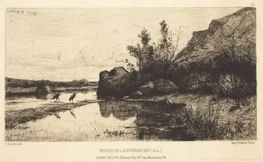 Marais de la Burbanche