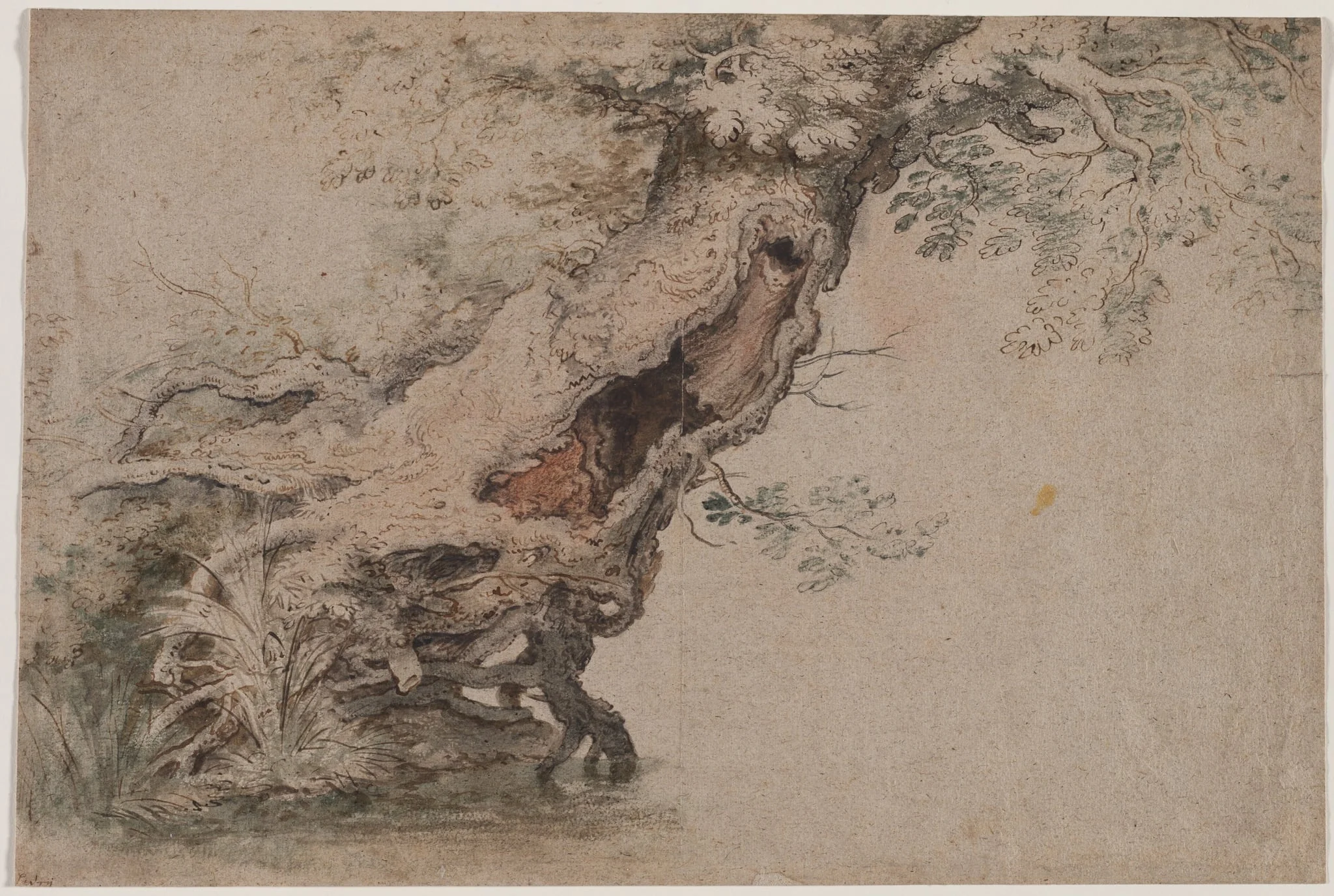 Hollow Tree, after Roelant Savery, by Lambert Doomer, 1670
