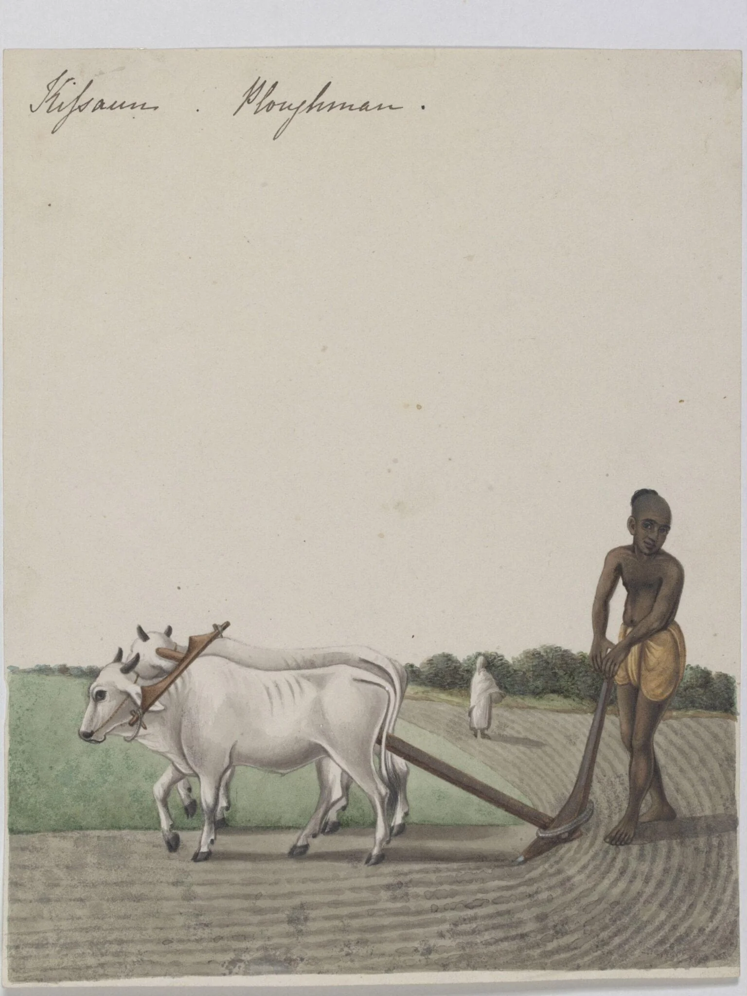 A cultivator