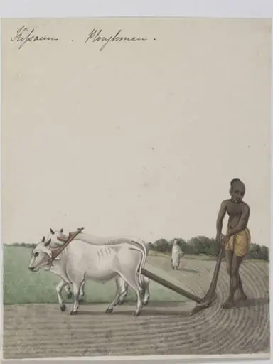 A cultivator