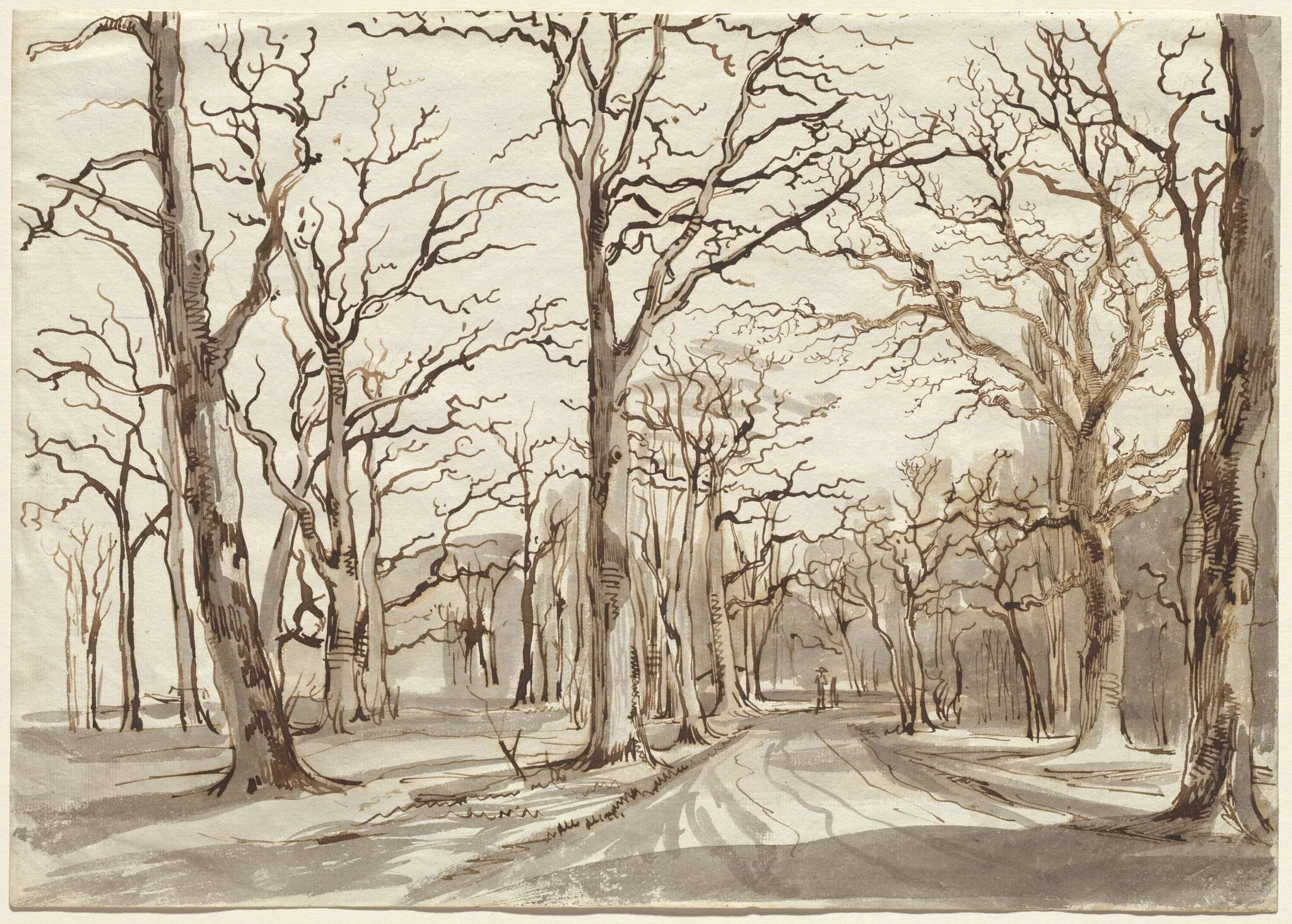 A Woodland Path in Rosenthal in Winter