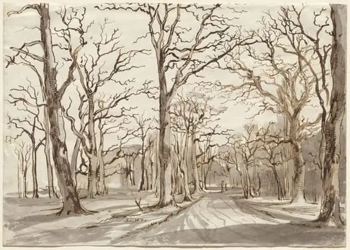 A Woodland Path in Rosenthal in Winter