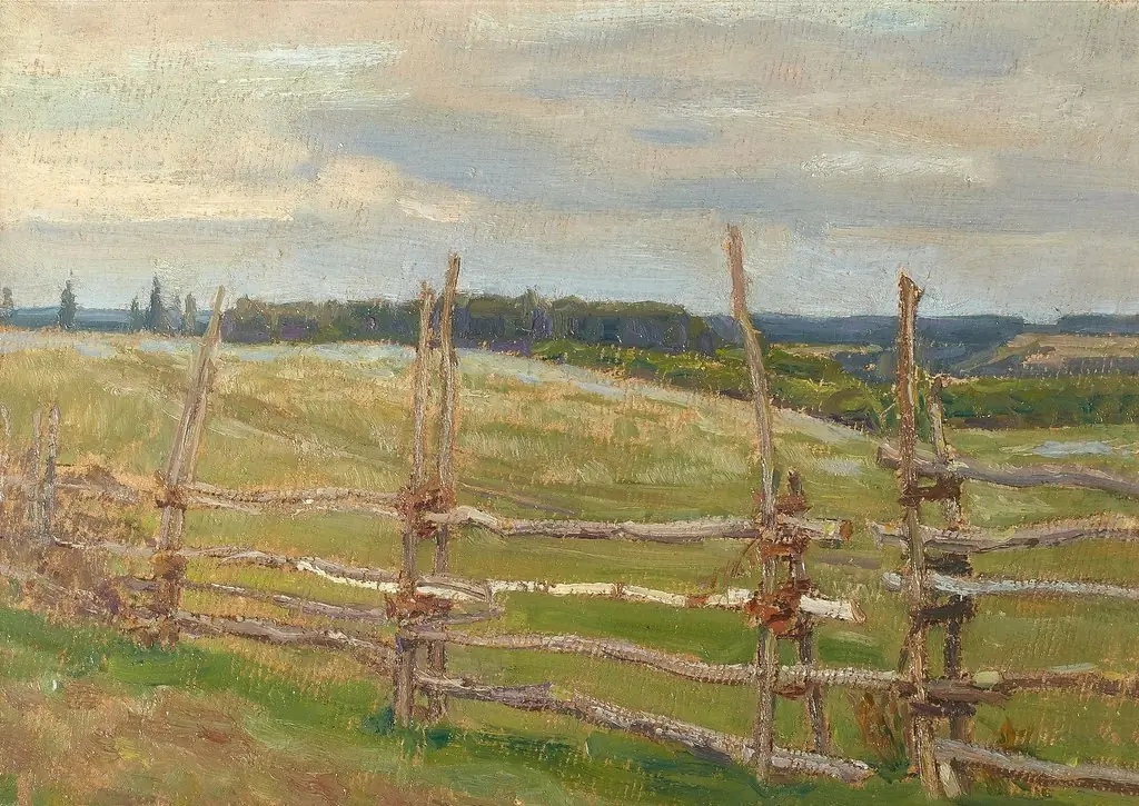Demyanovo. Twilight in the field