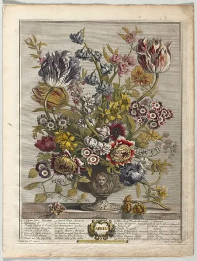 Twelve Months of Flowers:  April
