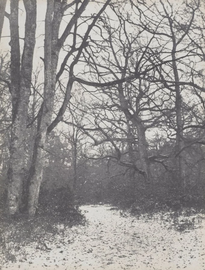 Road in the Forest, by Eugène Cuvelier, 1862