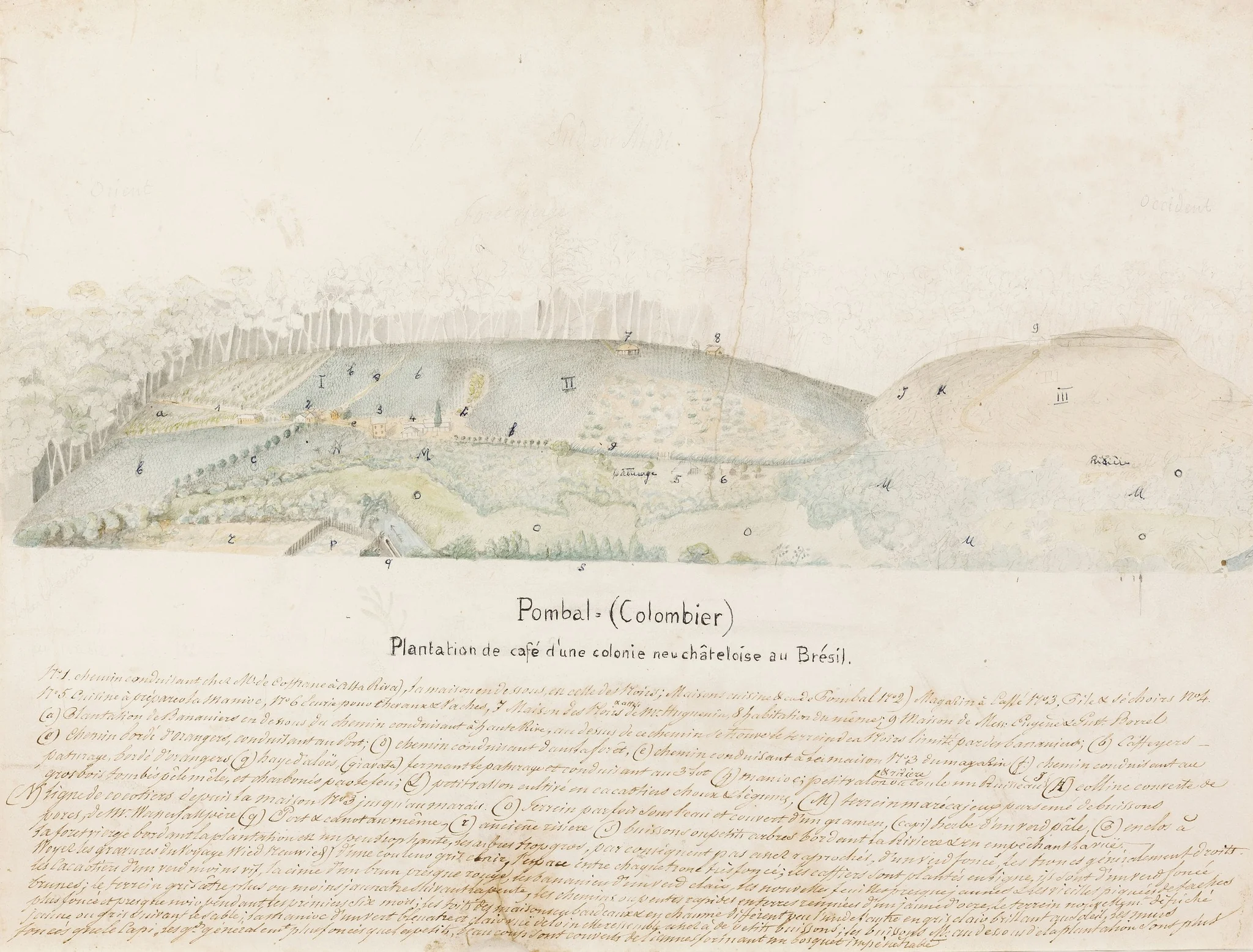 Pombal = (Colombier) Plantation de café d´une colonie neuchâteloise au Brésil, by Jean-Frédéric Bosset de Luze, graphite