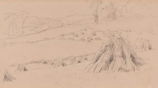 The Harvest Field