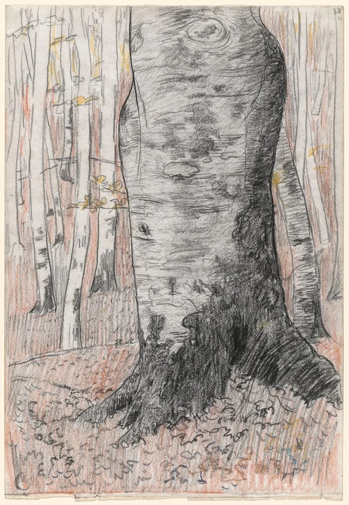 Untitled, by Georges Lacombe, charcoal, 1898