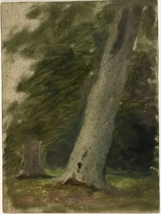 Leaning Tree