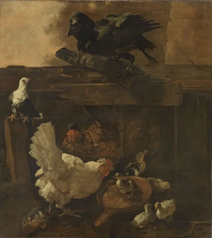 Chicken Yard