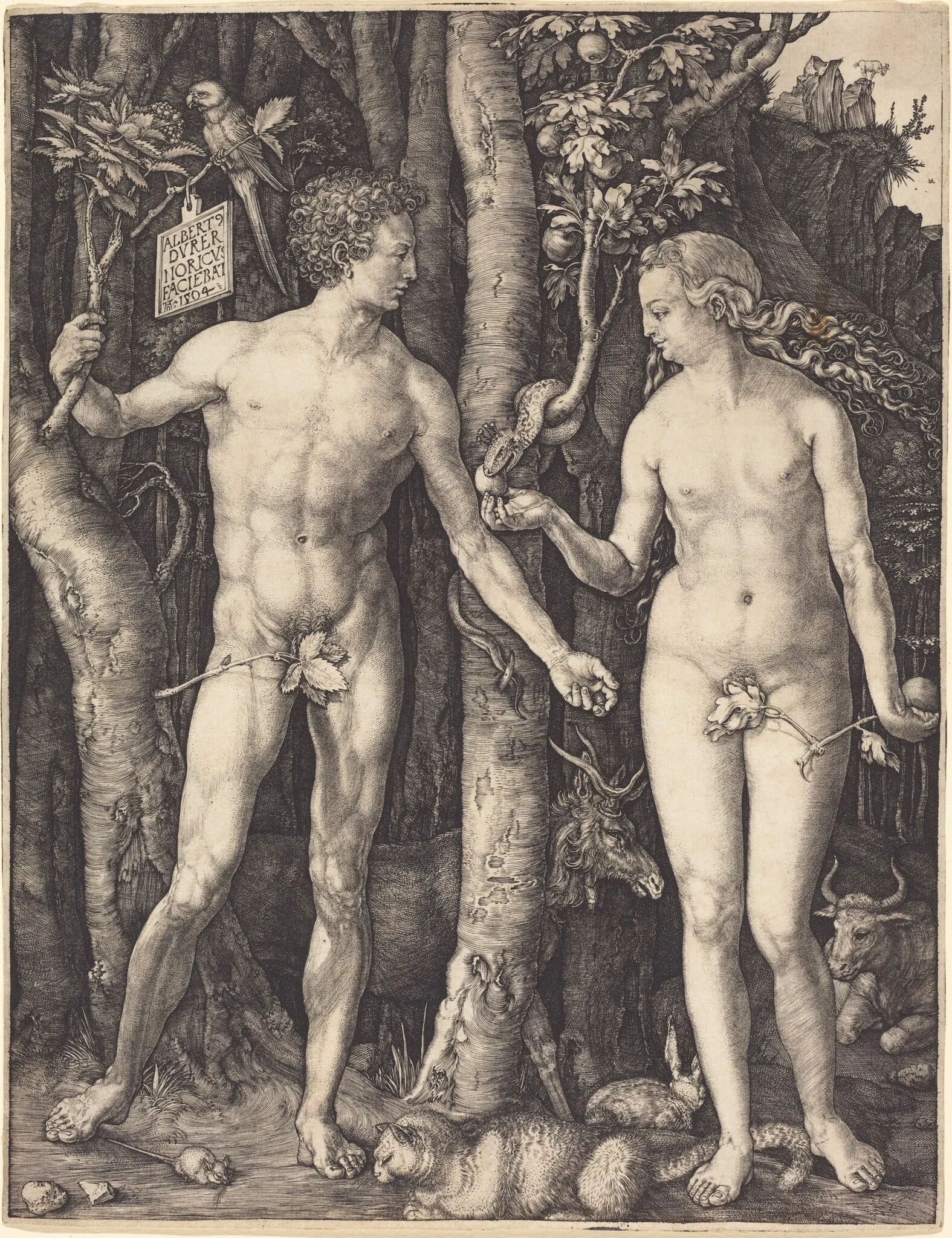 Adam and Eve, by Albrecht Dürer, ink, 1504