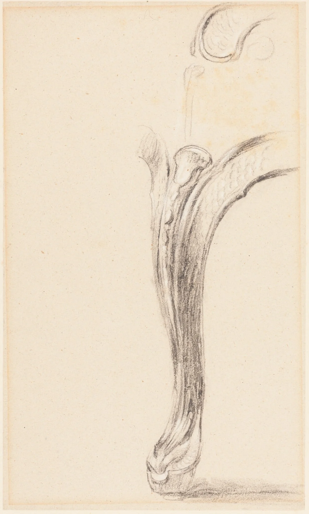 Study of a Chair Leg, by David, Sir Wilkie, chalk, 1813