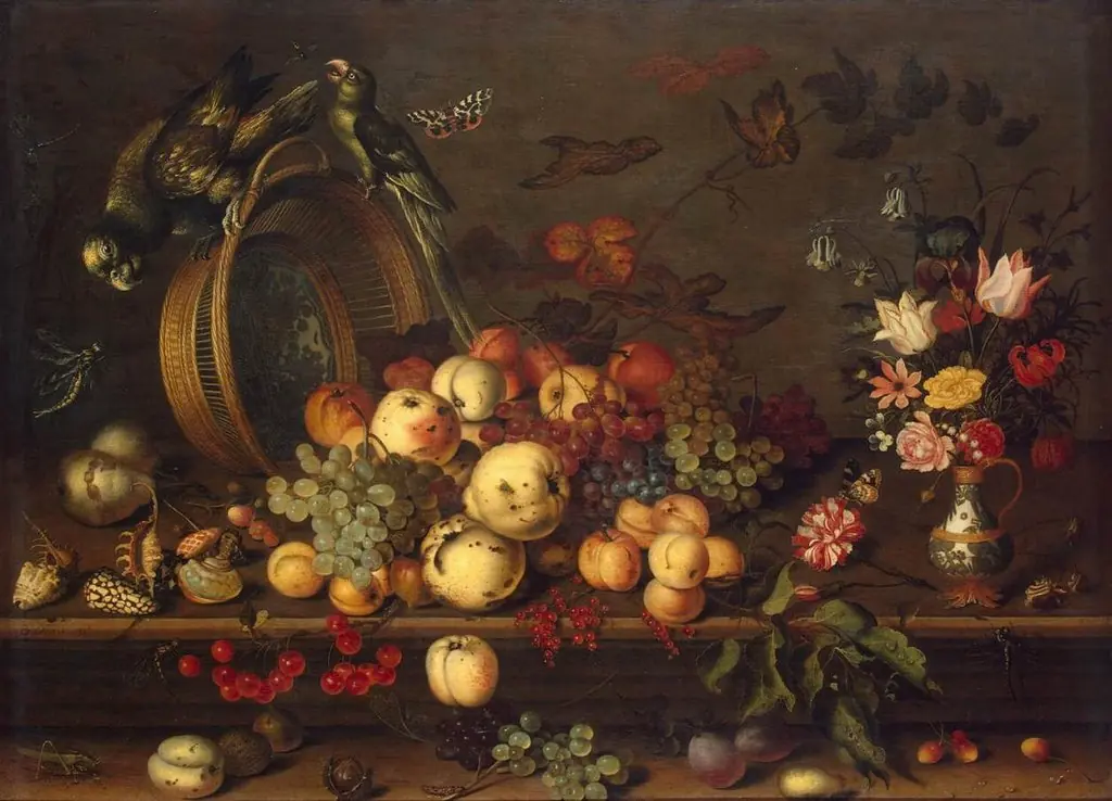 Still Life with Fruits, Shells and Insects