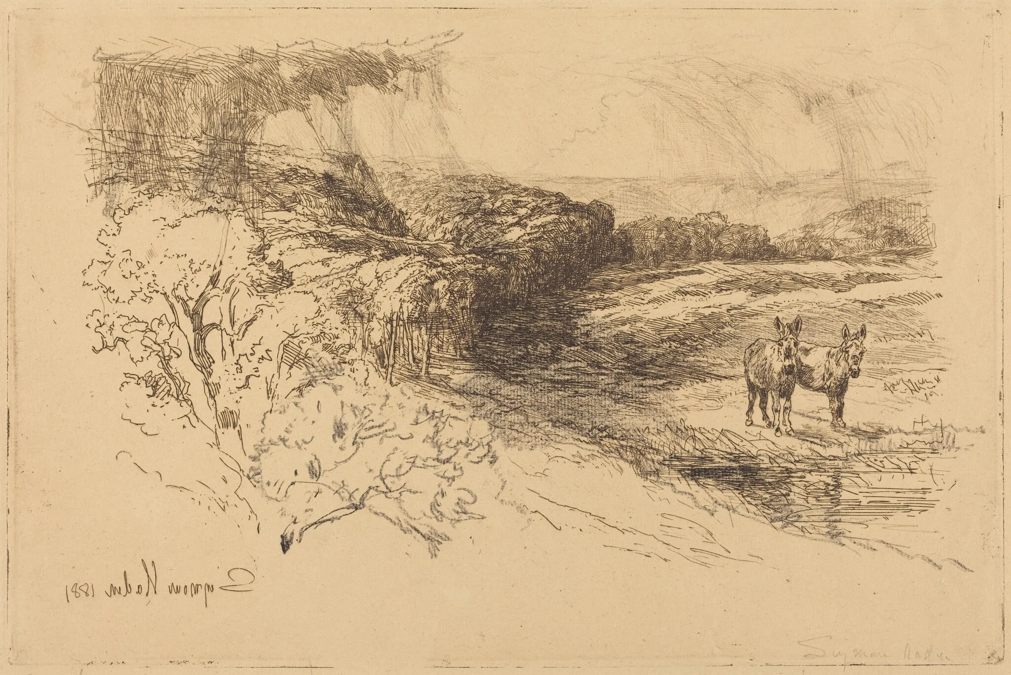 Encombe Woods (No.1), by Francis Seymour Haden, graphite, 1881