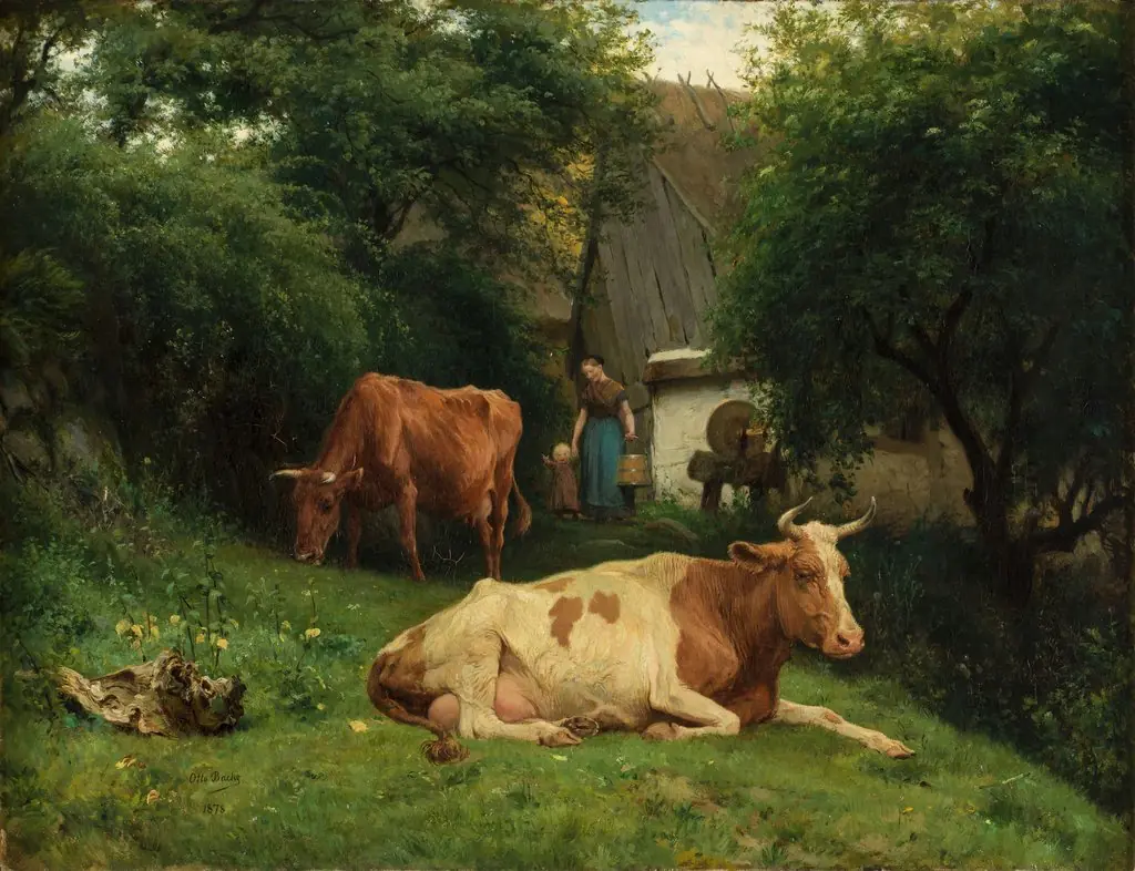Cows