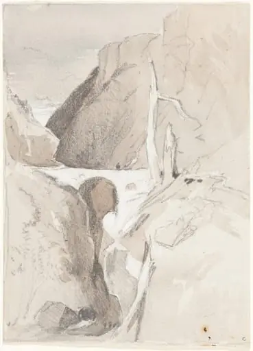 Gorge with Tree Stumps
