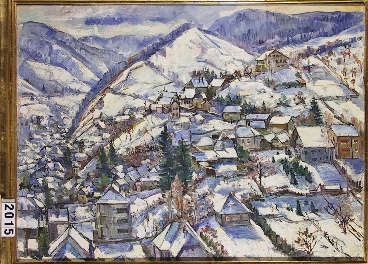 Schi iarna - peisaj