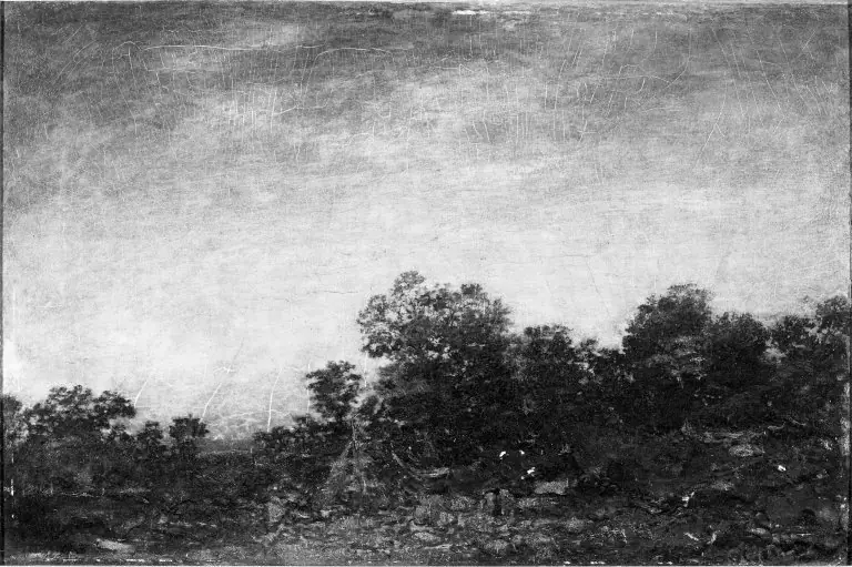 Landscape with Indians