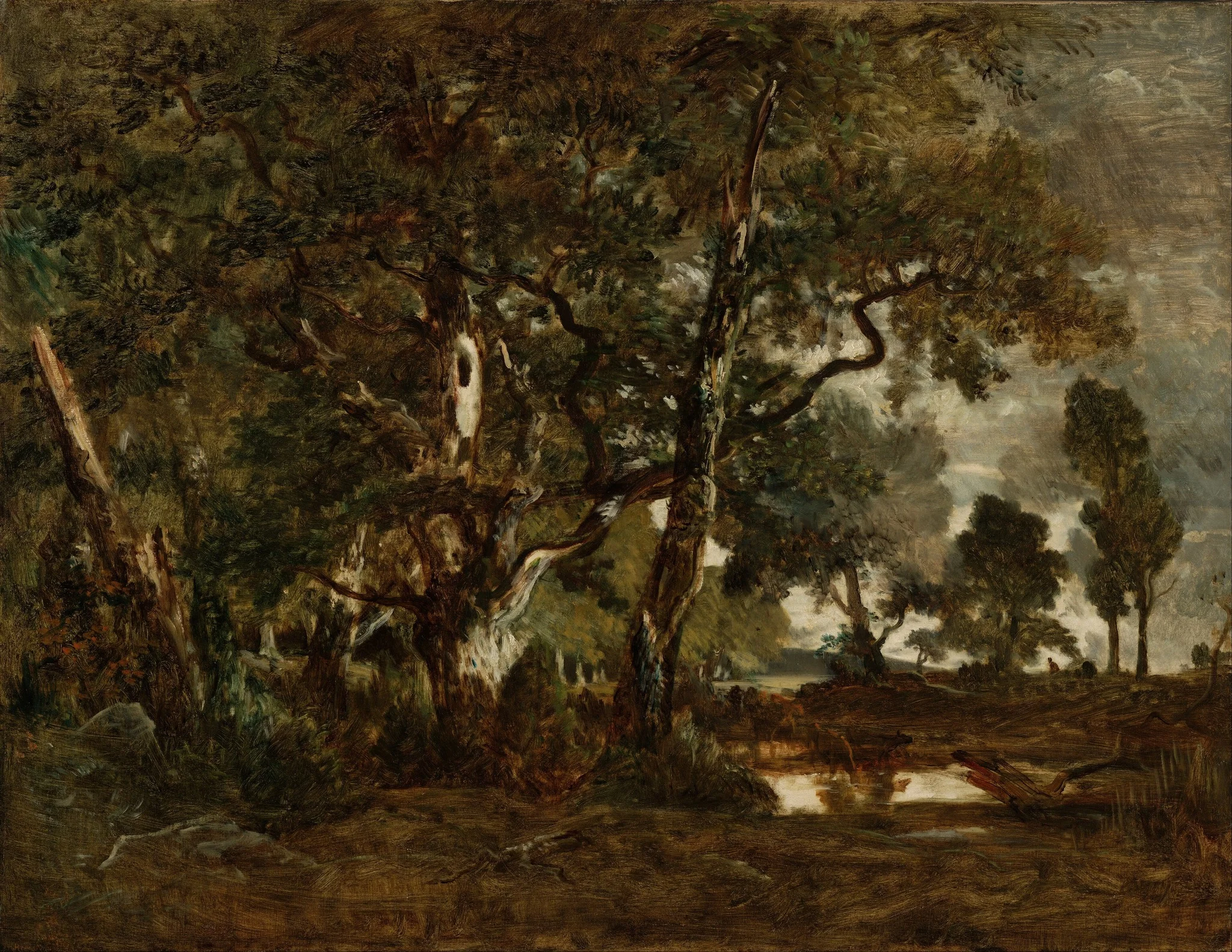Forest of Fontainebleau, Cluster of Tall Trees Overlooking the Plain of Clair-Bois at the Edge of Bas-Bréau, by Théodore Rousseau, oil, 1850