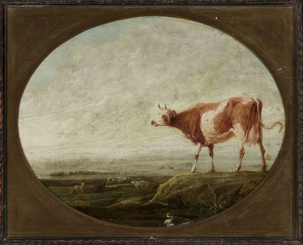 Cow in the pasture