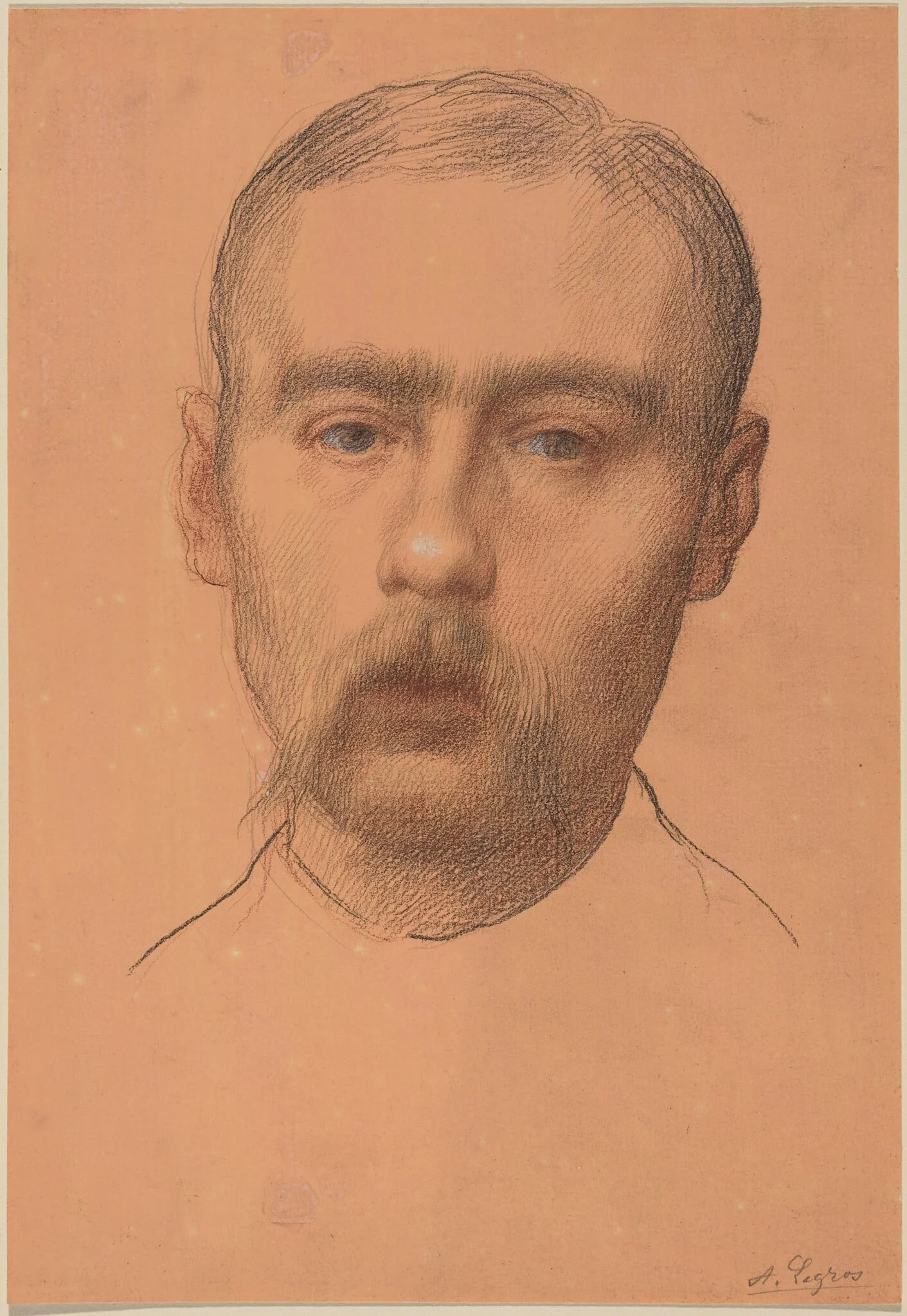Head of a Man  (Possible Portrait of Professor E.D. Adams), by Alphonse Legros, graphite, 1874