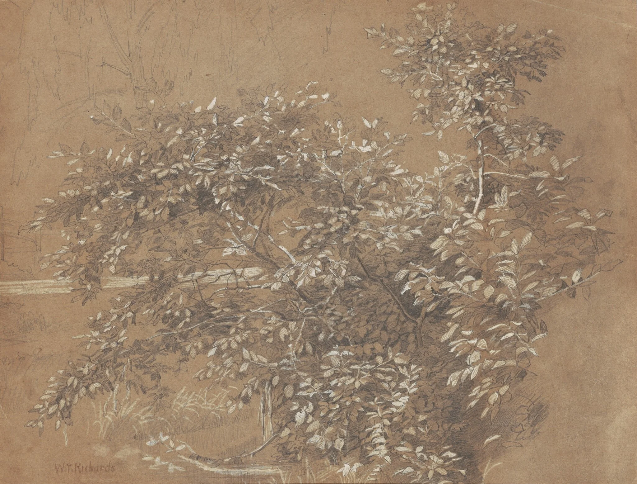 Foliage, by William Trost Richards, gouache, 1801